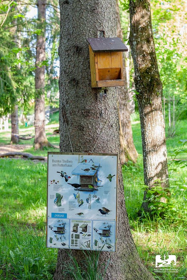Vogelfutterkasten