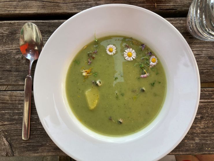 16062024-Natur-aufs-Brot-Alexandra-Bauer