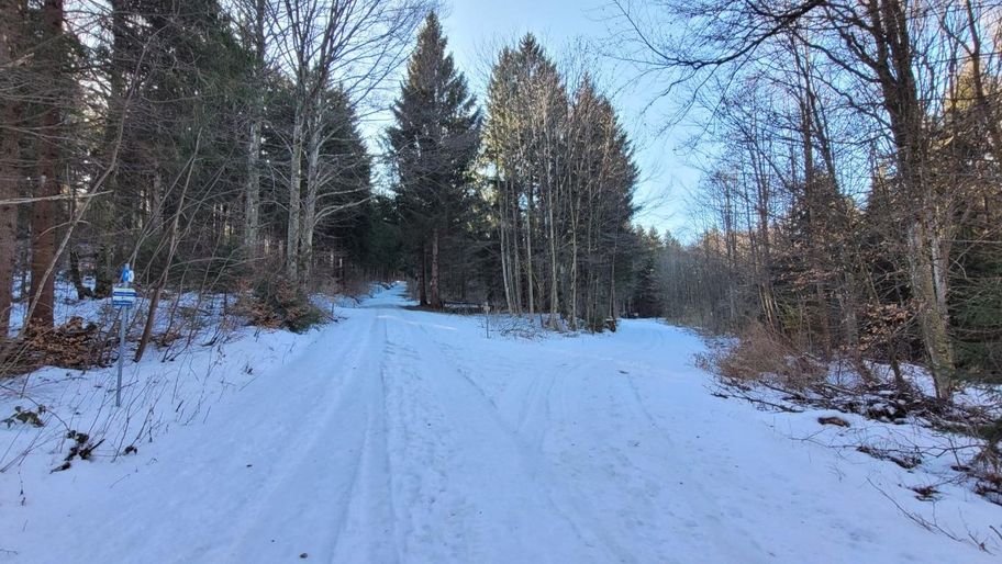 Vogellehrpfad Friesenried