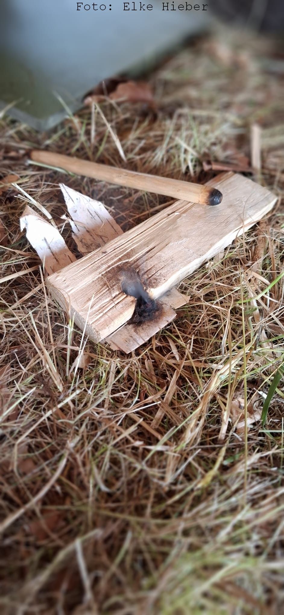 Feuerbohrer_Elke_Hieber_beschriftet