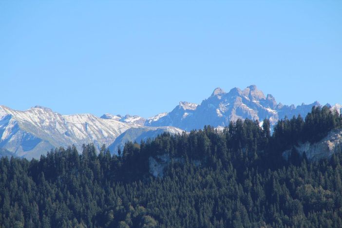 Panorama