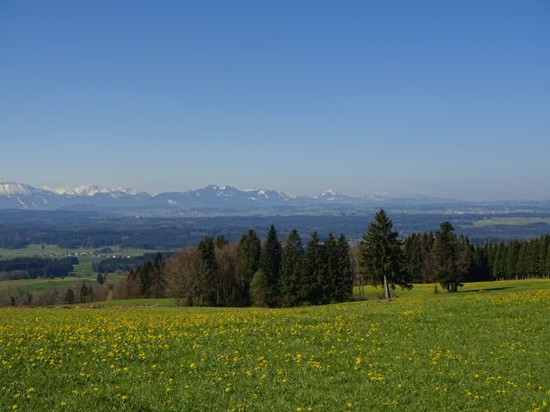 Blick auf den Schlosspark