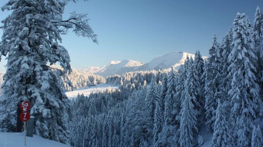 Fluhexpress mit Blick zum Hochgrat und Rindalphorn