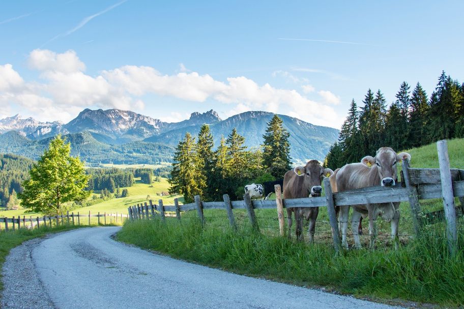 Unterwegs zur Schlossbergalm
