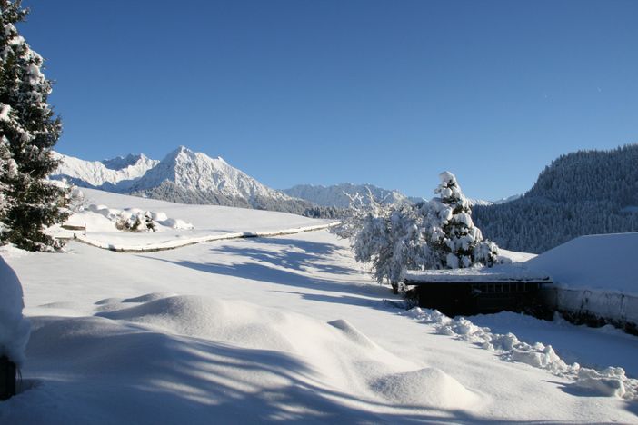 Gartenausblick im Winter