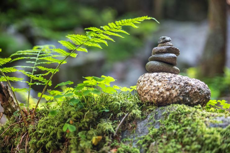 Wanderung der Sinne