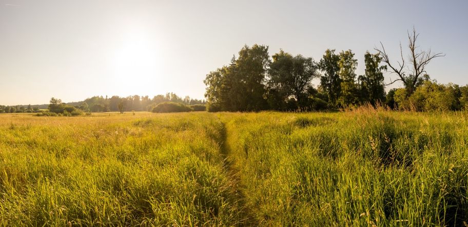 Wiesenweg im Günztal ei Ottobeuren