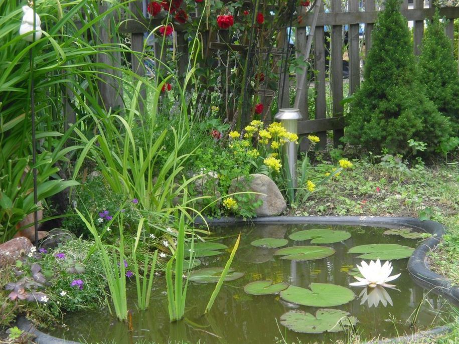 Garten