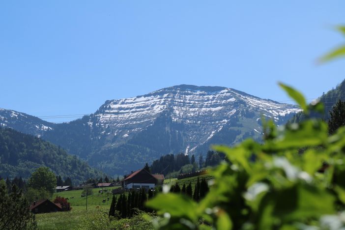 Hochgrat im Frühlingserwachen