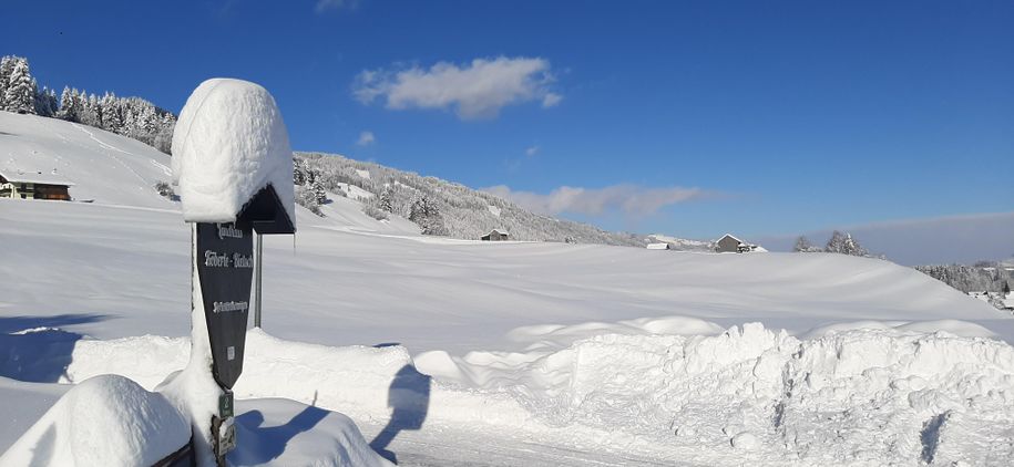 Schneehaube
