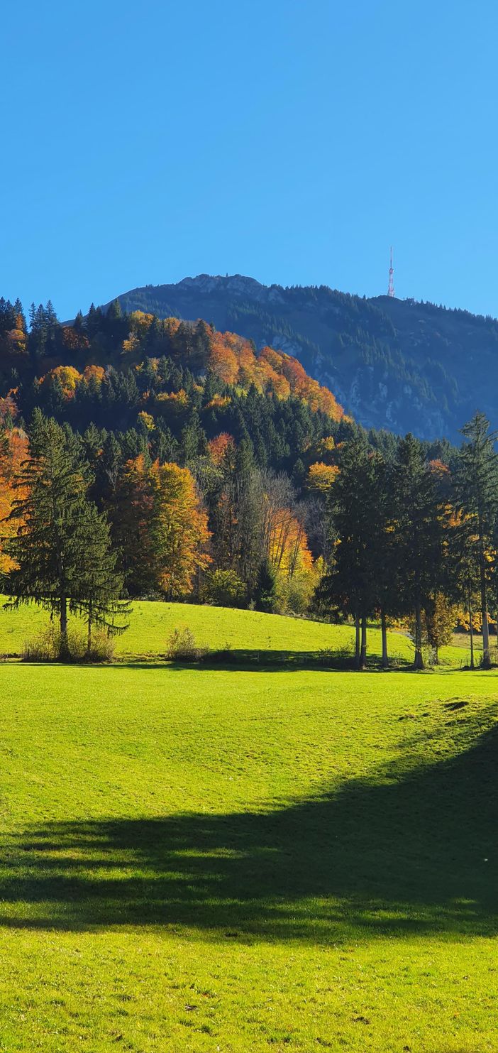 Blick auf Grünten - Hasengarten