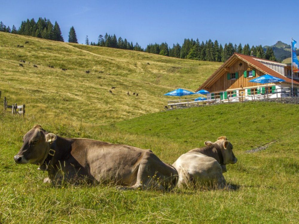Wanderziel Bichler Alpe