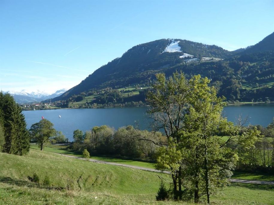 Blick über den Alpsee von Westen