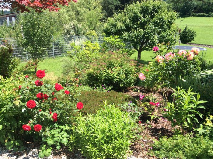 Blumenpracht in unserem Garten