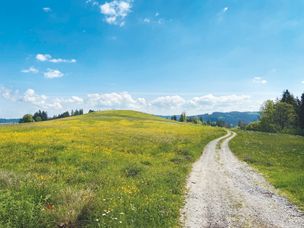Marc Brandner - Allgäuer Glasregion Adelegg