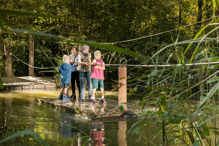 Auwaldpfad im Walderlebniszentrum Füssen