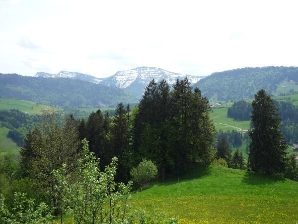Aussicht