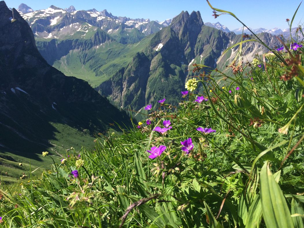 Blick auf die Höfats