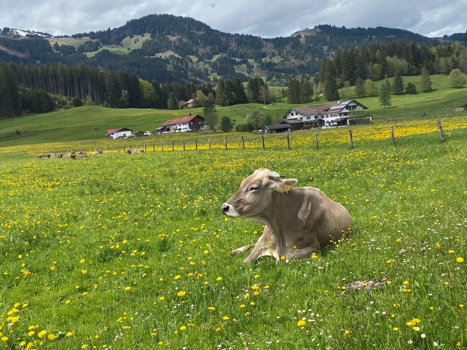 Blick von Süden aufs Schönblick