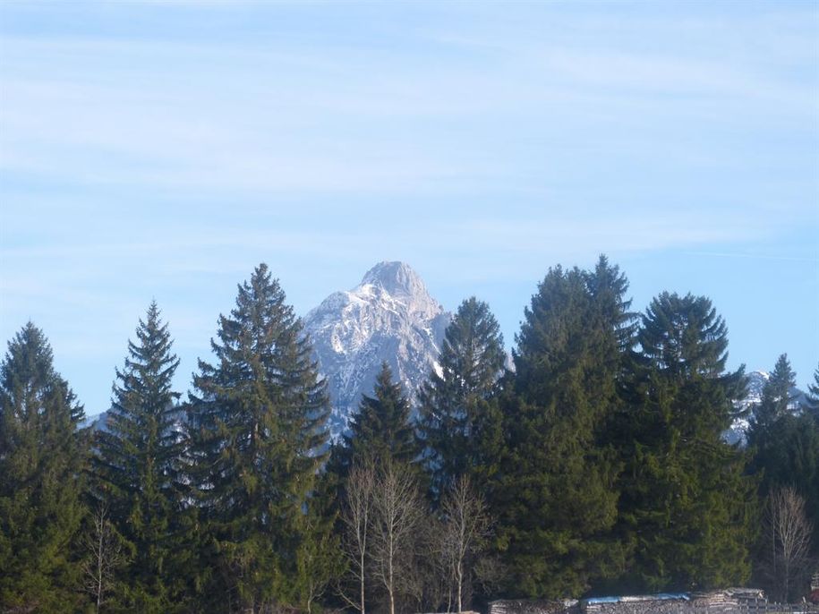 Säulingblick