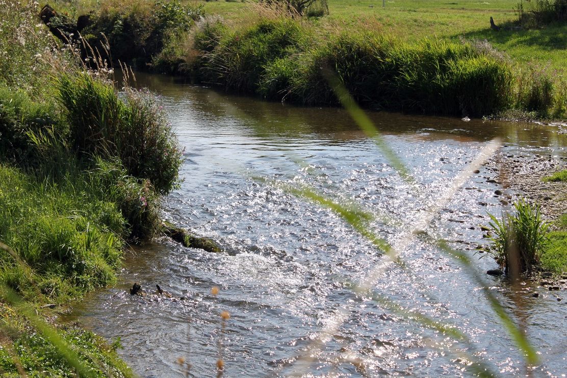 Die Mindel im Unterallgäu