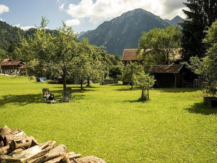 Unsere Liegewiese mit Obstbäumen und Bergpanorama