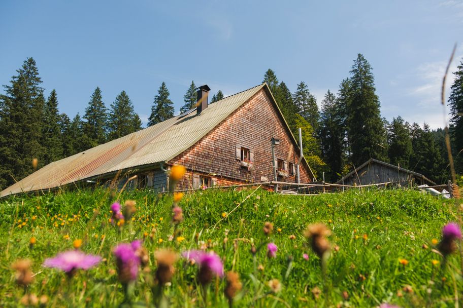 Alpe Ehrenschwang