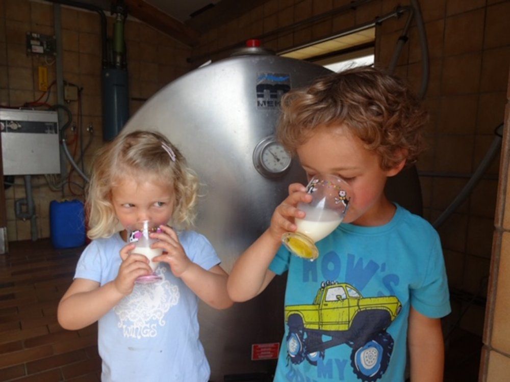 Frische Milch genießen