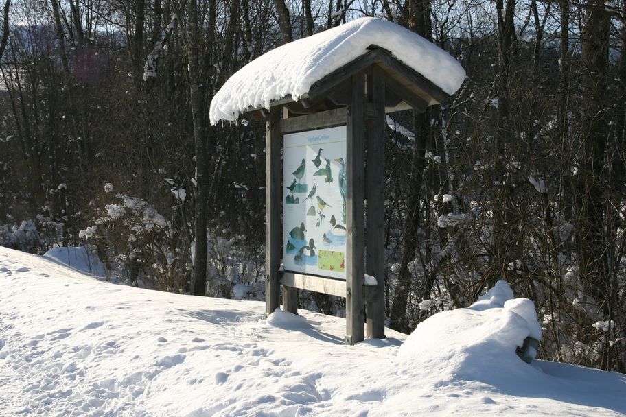 Winterliche Illerauen