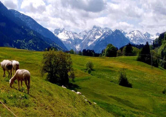 Blick in die Oberstdorfer Berge