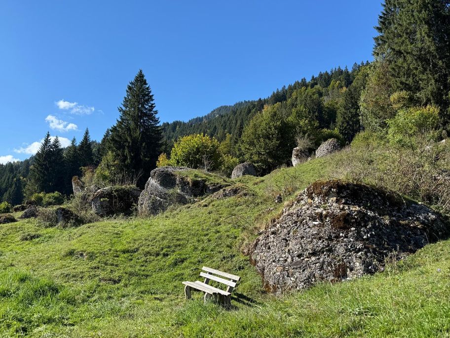 Nagelfluhbrocken entlang des Weges