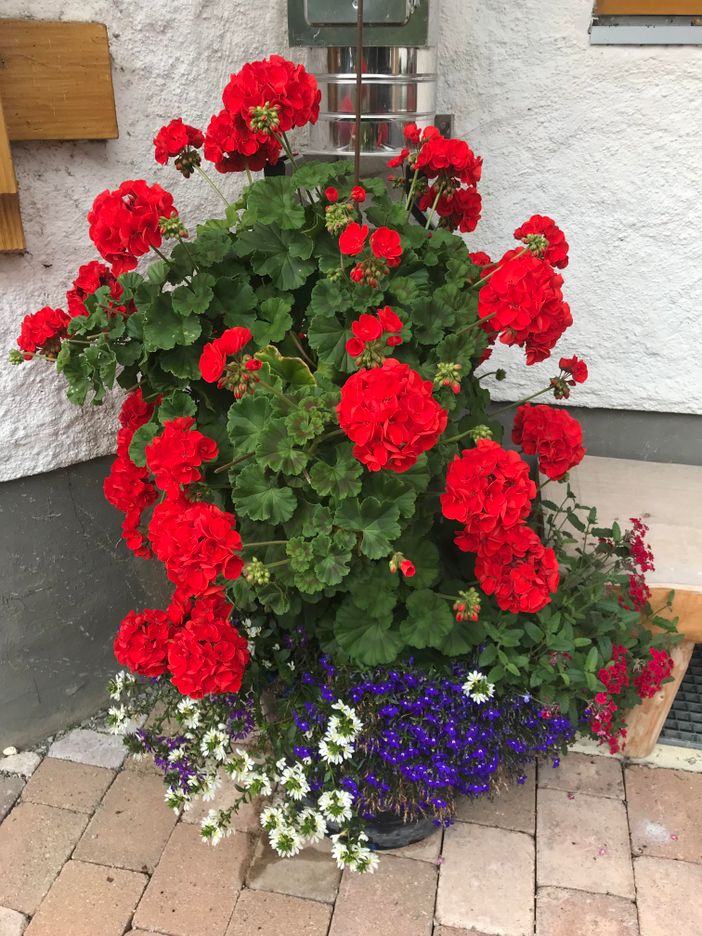 BLUMENSCHMUCK