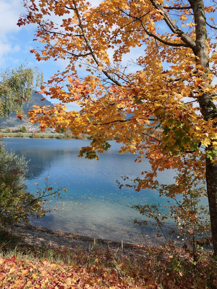 Herbst am See