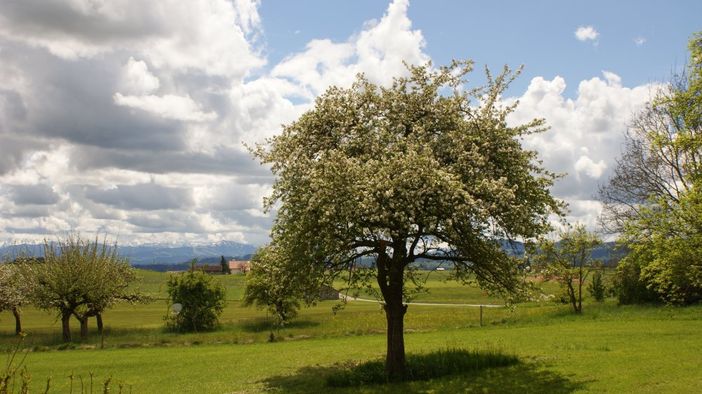 Ausblick