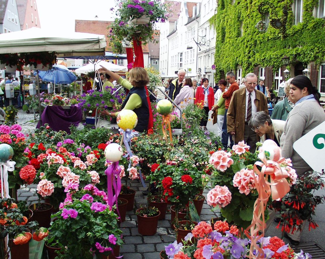 Memmingen blüht