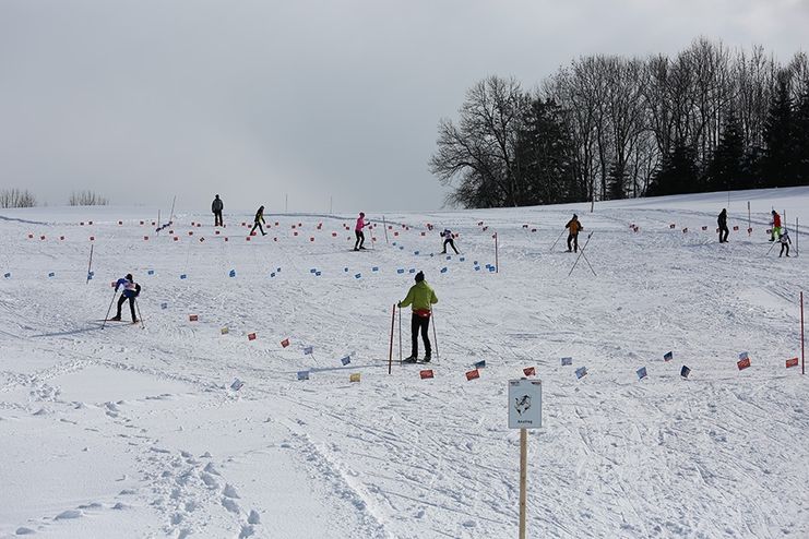 Loipe Ratzenried Argenbühl