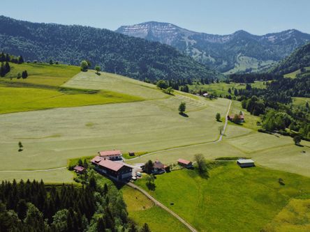 Drohnenaufnahme Hochgrat