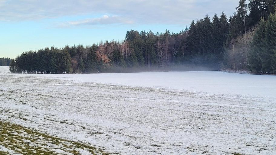 Wiesenweg zum Elbsee und zurück