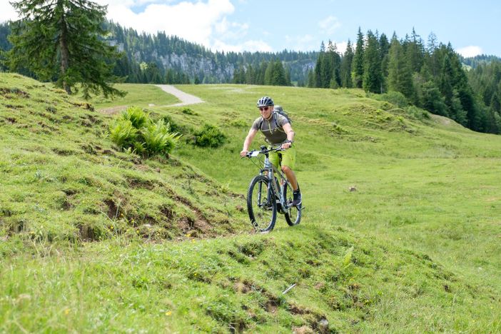 Bikefreude in Balderschwang