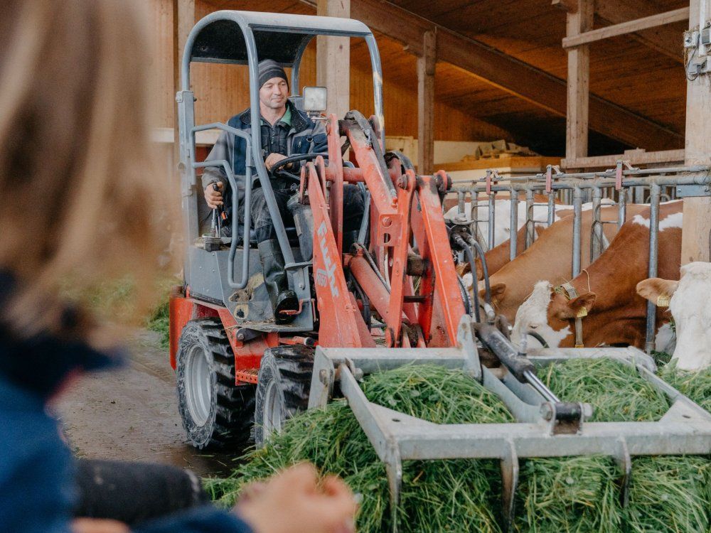 beim Füttern dabei sein