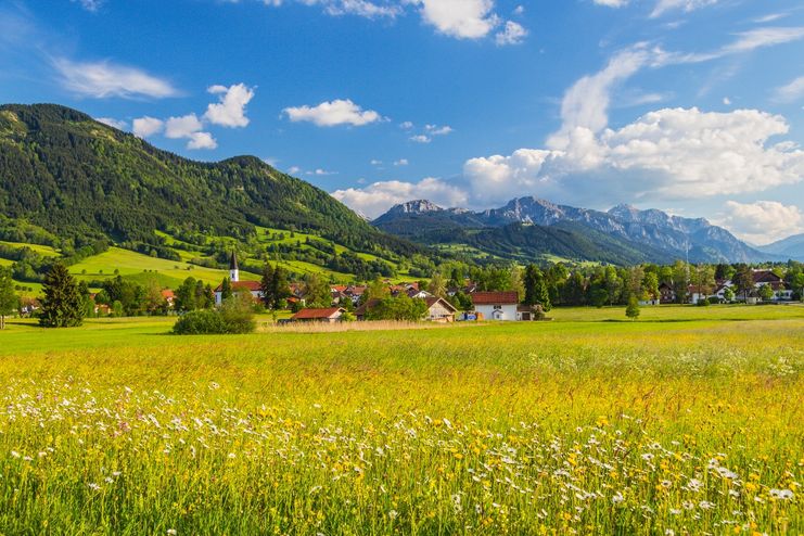 Trauchgau