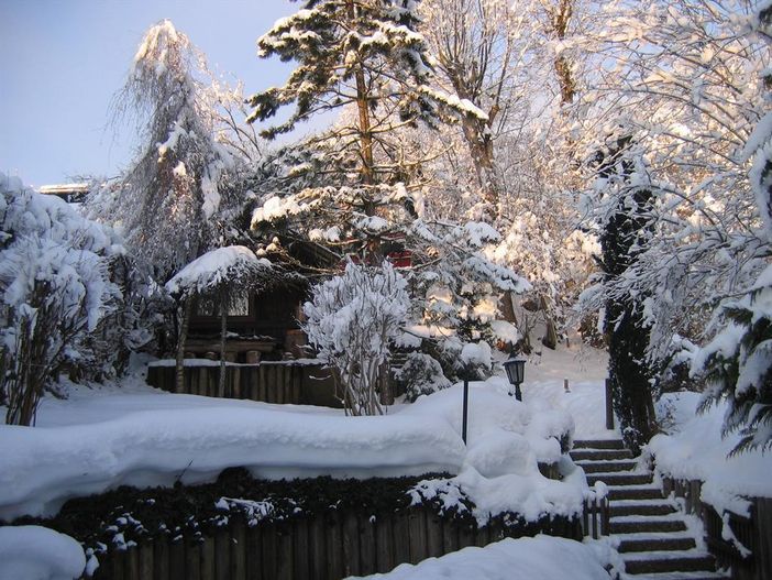 Teich im Winter