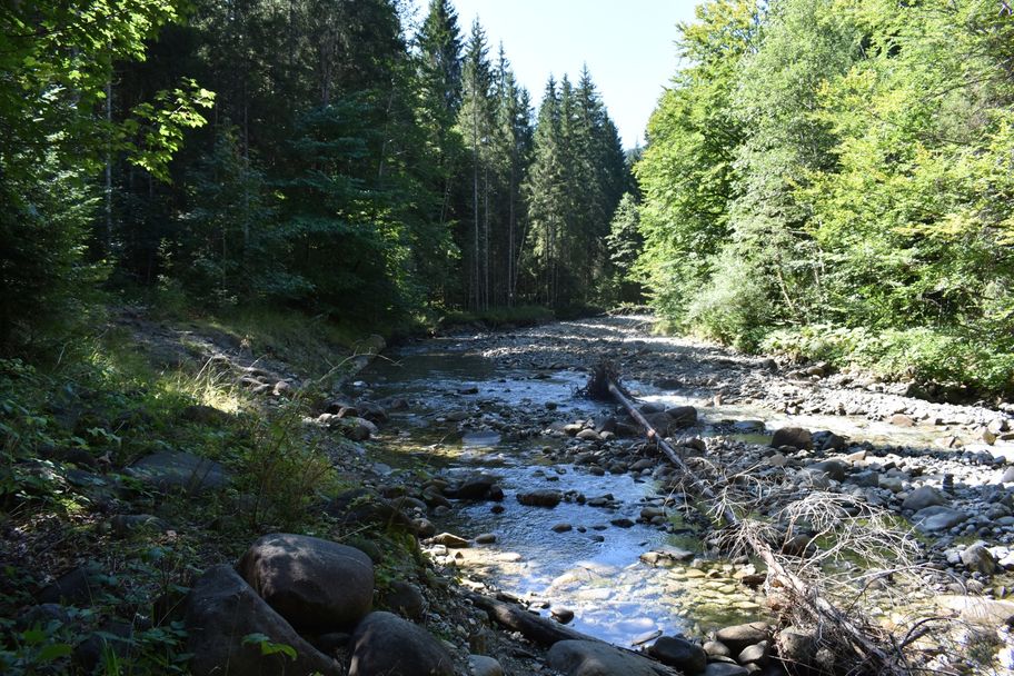 Von Gunzesried übers Ostertaltobel aufs Ofterschwanger Horn