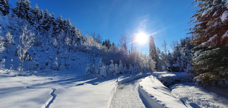 Hasengartenweg im Winter