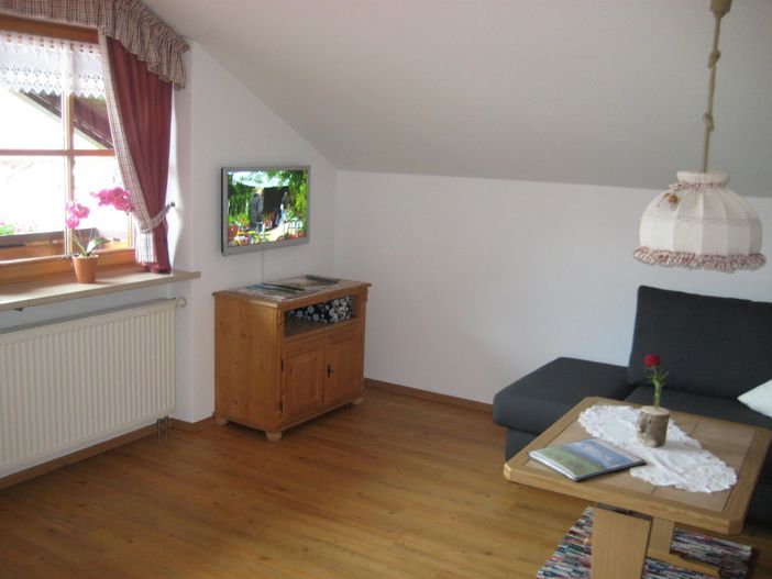 Wohnzimmer Fernseher