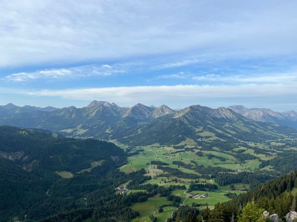 Ausblick