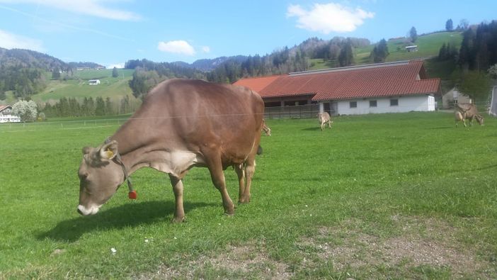 Natur pur