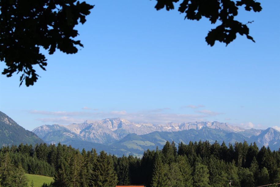 Unsere Panorama-Aussicht auf die Allgäuer Alpen