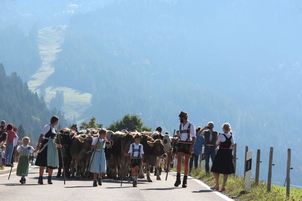 Einzug der Alpe - Viehscheid in Balderschwang