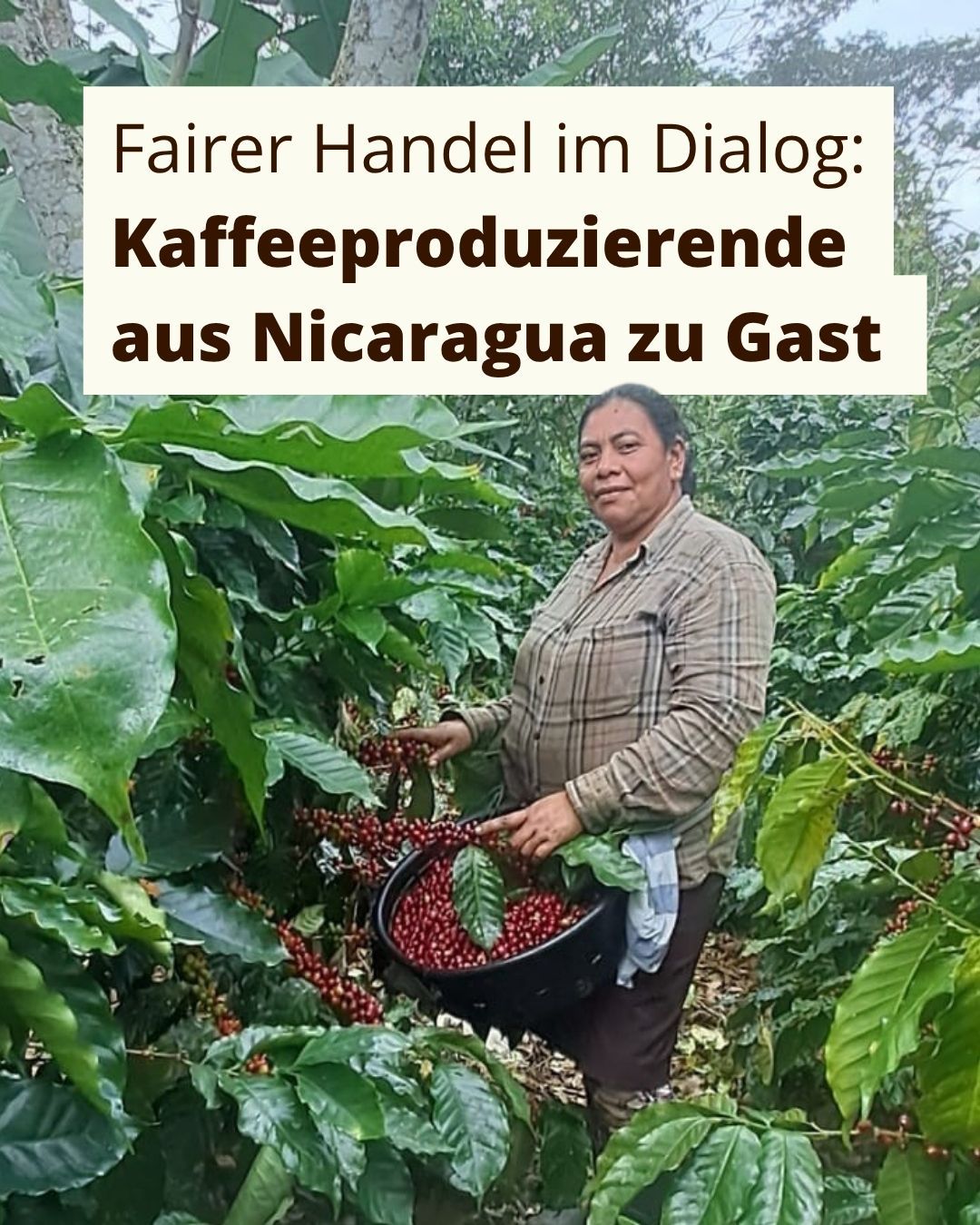 Werbeplakat Kaffee-Talk